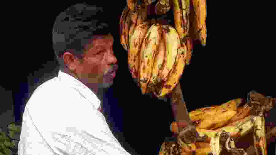 Interact with Locals