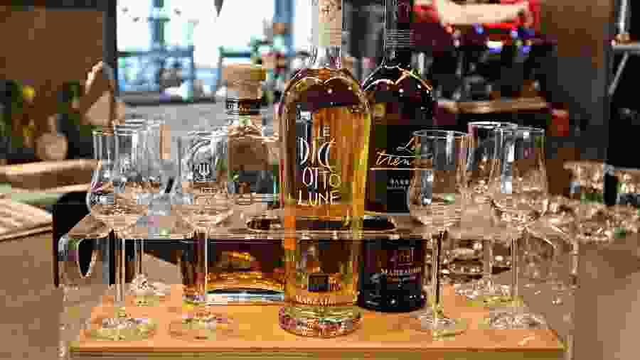 Grappa Tasting