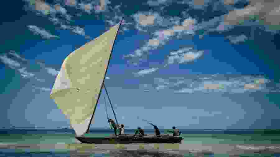 Dhow