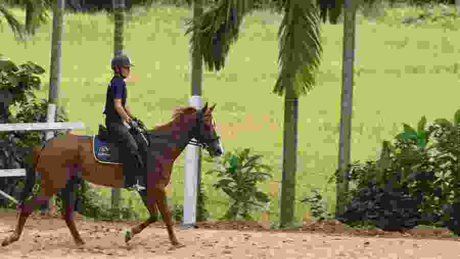 Horse Riding In Nuwara Eliya
