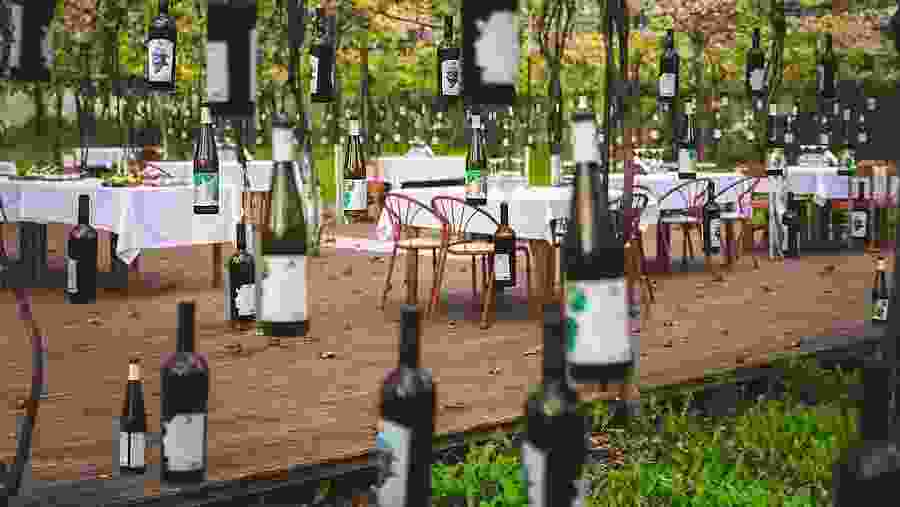 Wine Tasting in Alpeta Winery