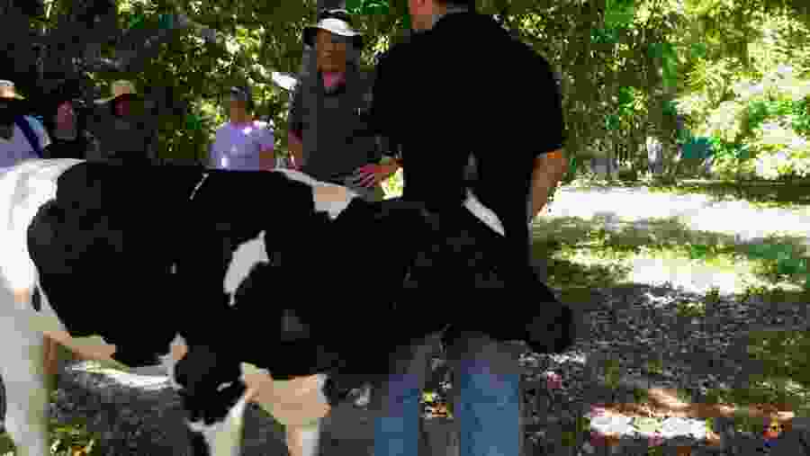 Toledo Ranch, Cozumel, Mexico