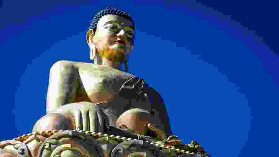 See the magnificent Buddha Dordenma