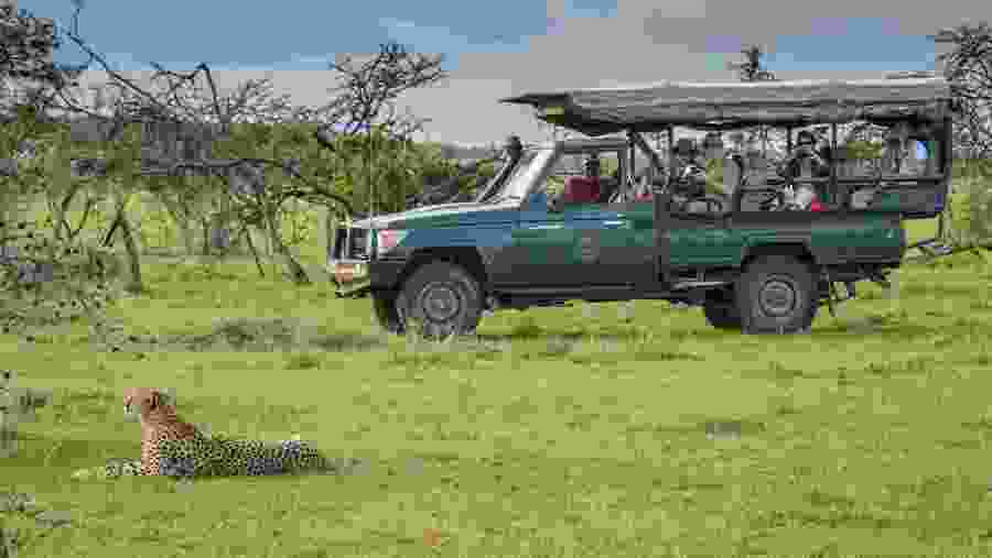 Marvel at up close animal experience during your safari