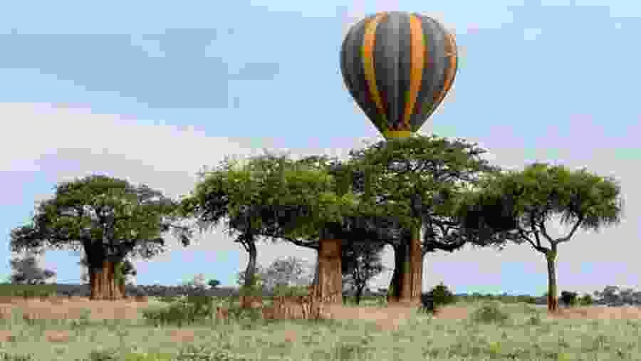 TARANGIRE NATIONAL PARK
