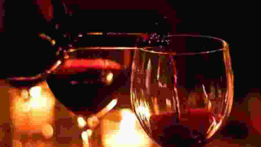 Taste the Premium Quality Hungarian Wines