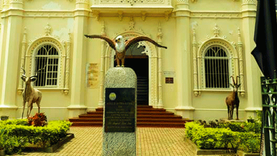 Museu de Historia Natural