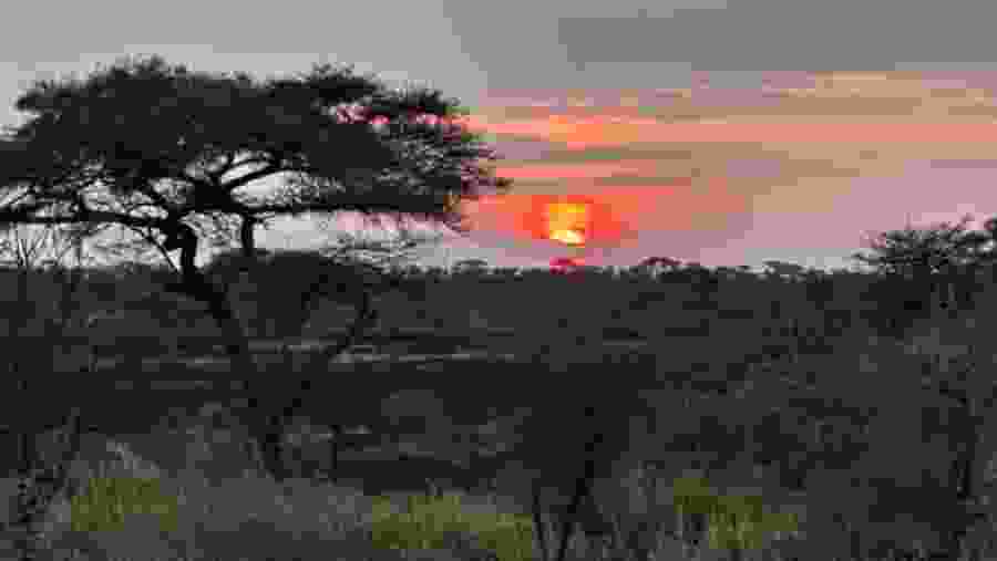 Sunset in Serengeti National Park