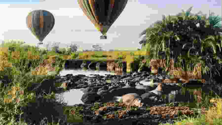 Balloon Ride In Serengeti