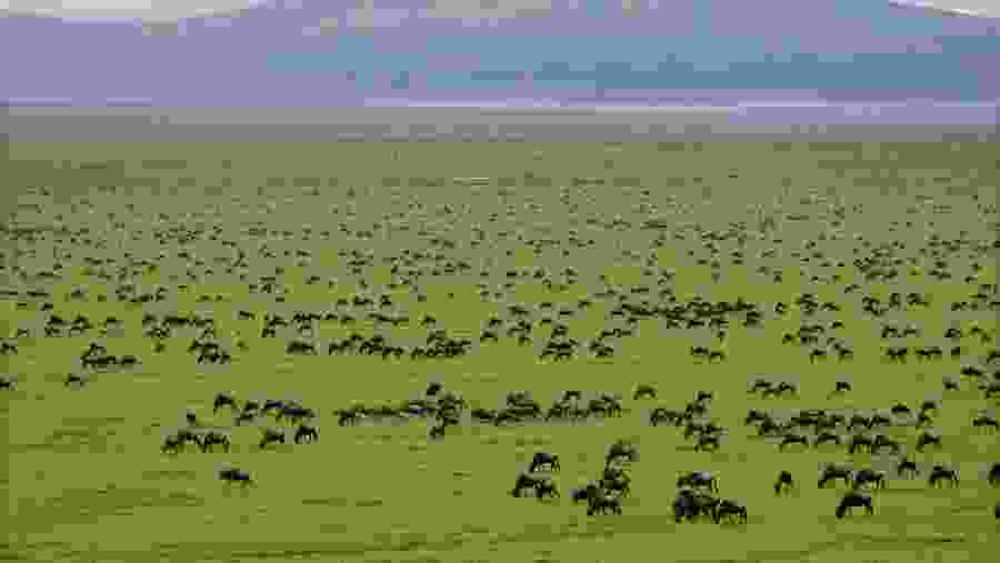 Serengeti National Park