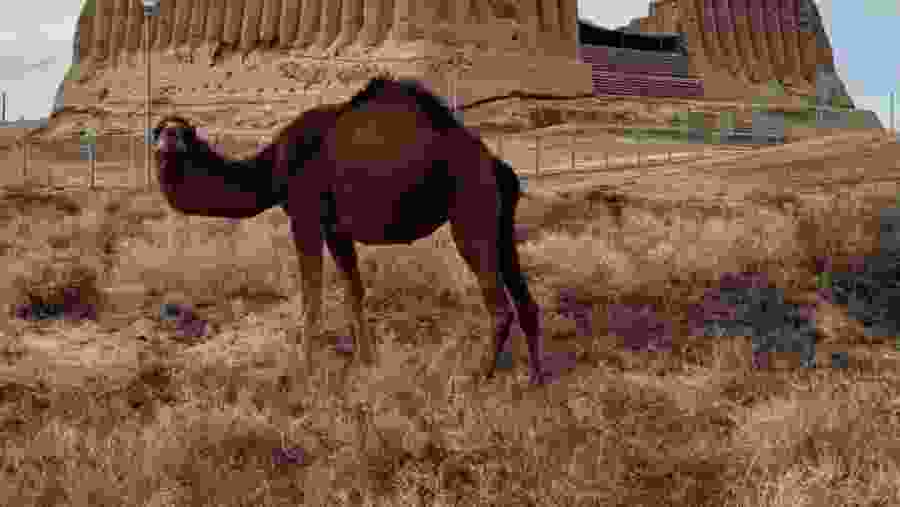 the Heart of the Great Silk Road