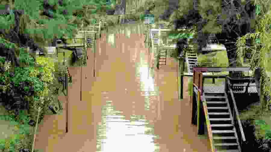 Delta del rio tigre/Tigre Delta