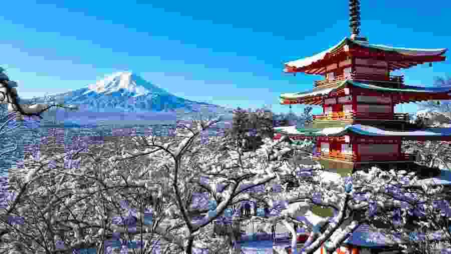 Arakurayama Sengen Park