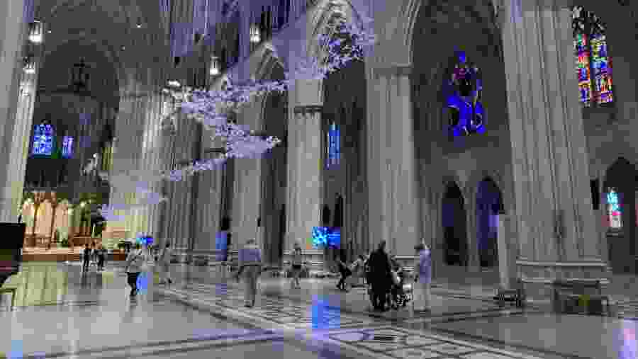 Nave