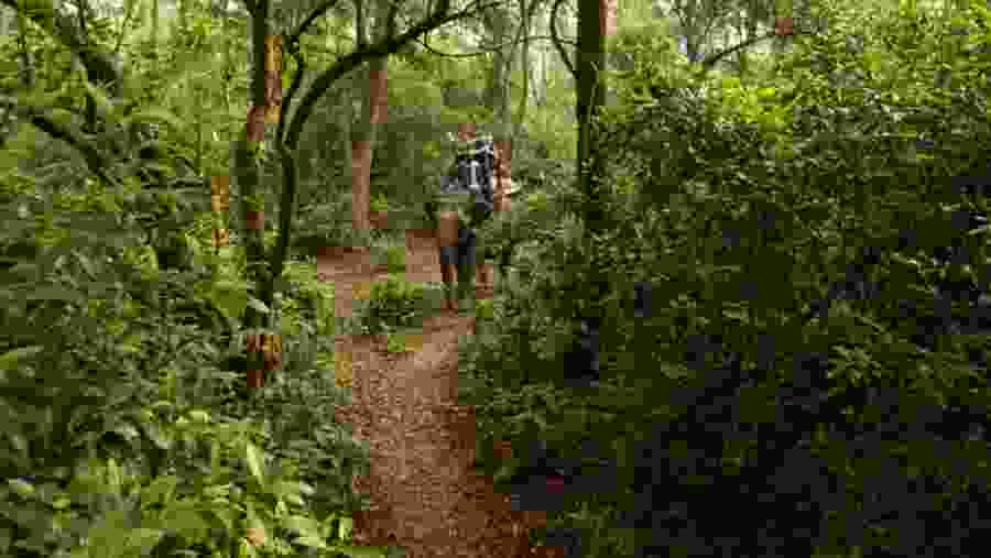 Chitwan Jungle Safari