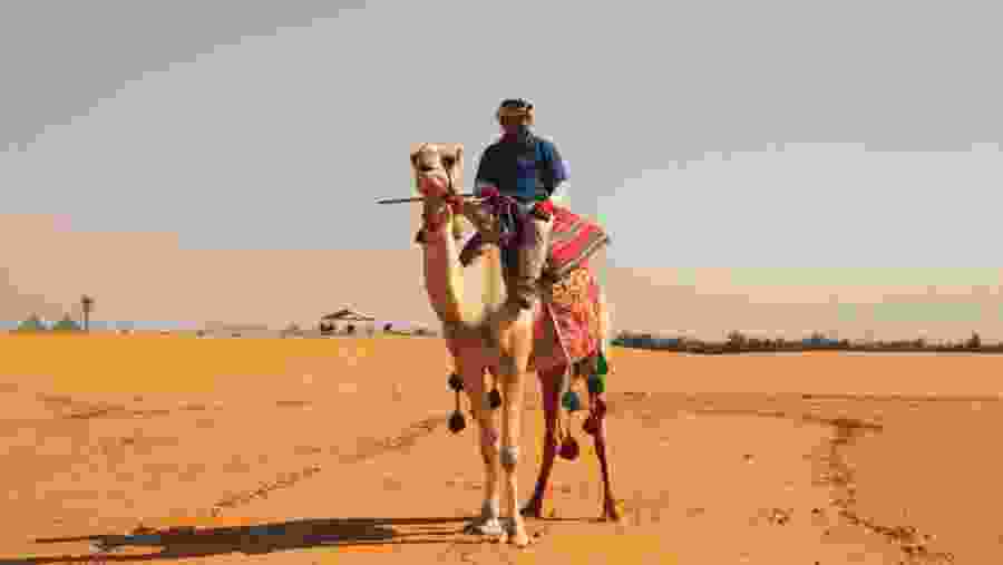 Camel Ride