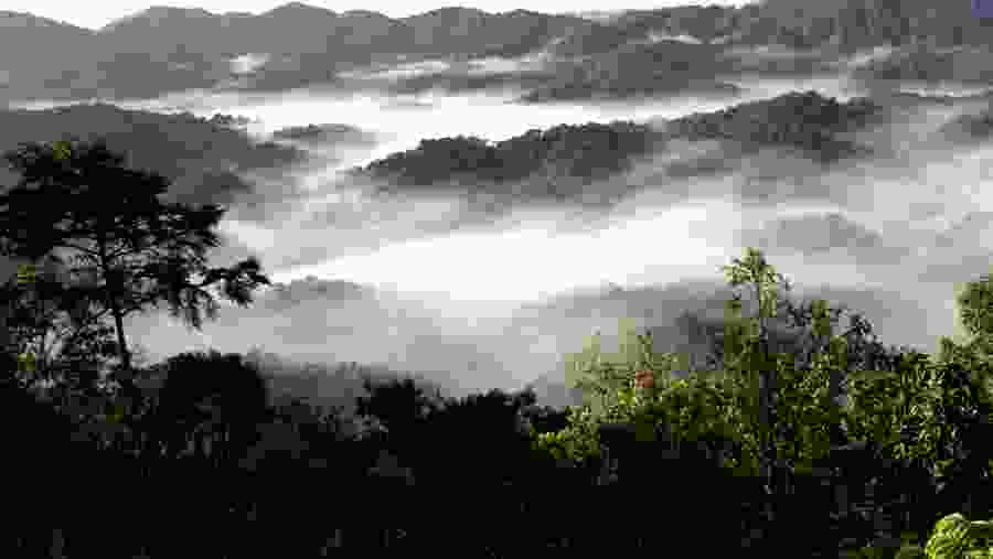 Scenic Mountain View