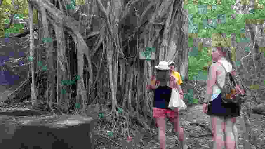 Hike to the Top of the Island