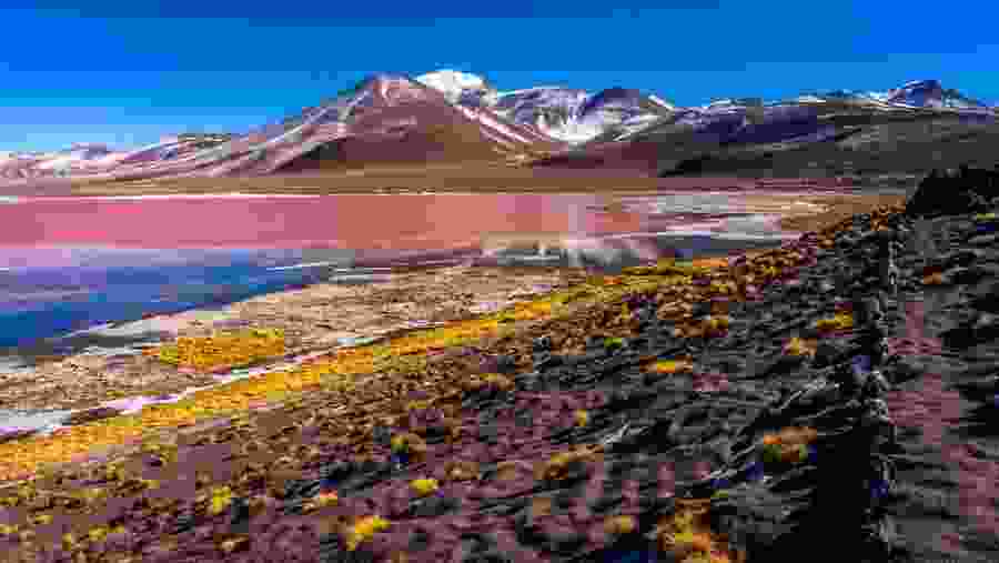 Laguna Colorada (Red Lagoon), Uyuni