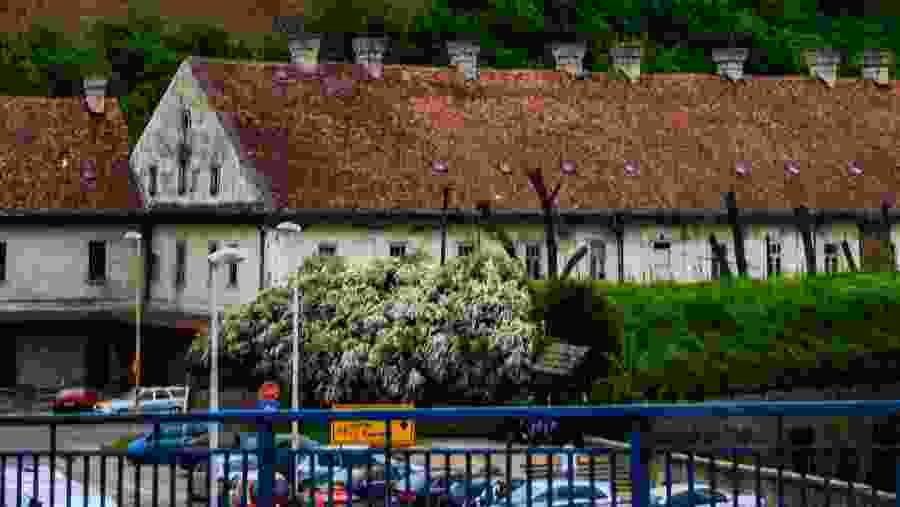 Novi Sad