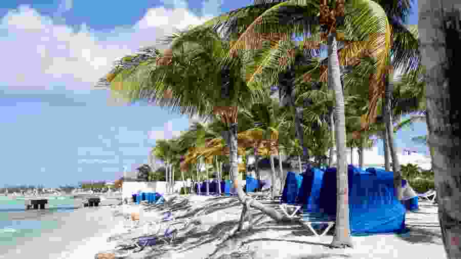 Relax at a Local Beach