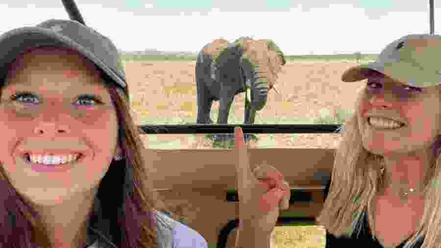 Elephant