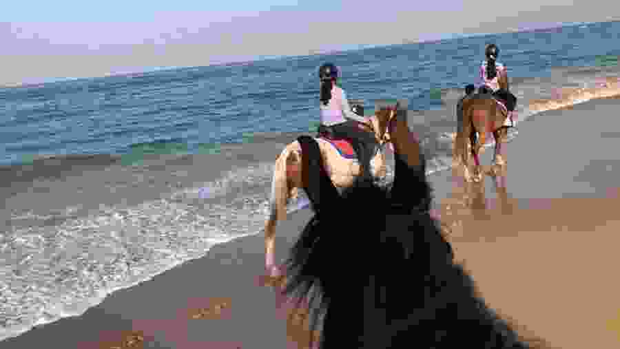 Horse Riding In Port City