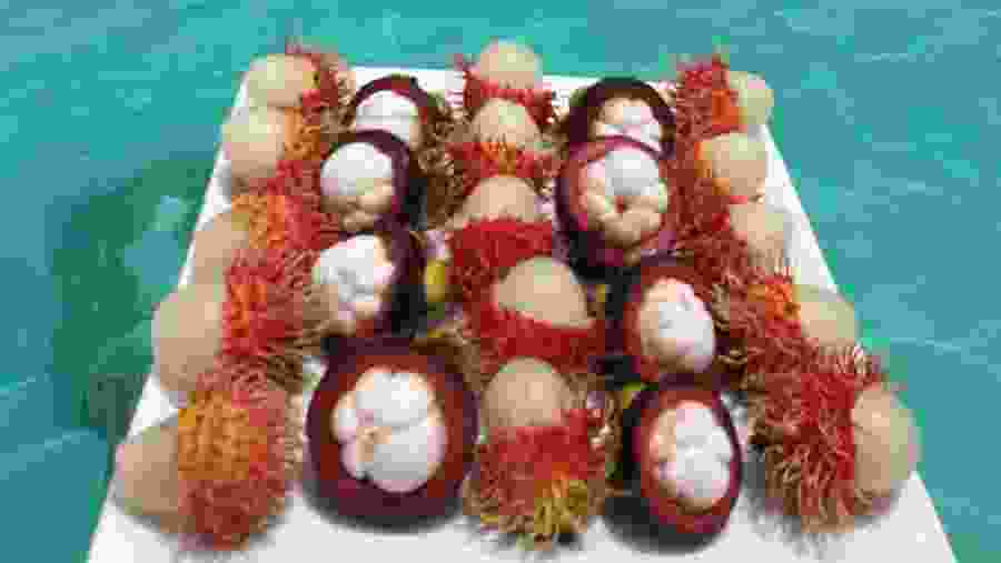 Enjoy Delicious Tropical Fruits