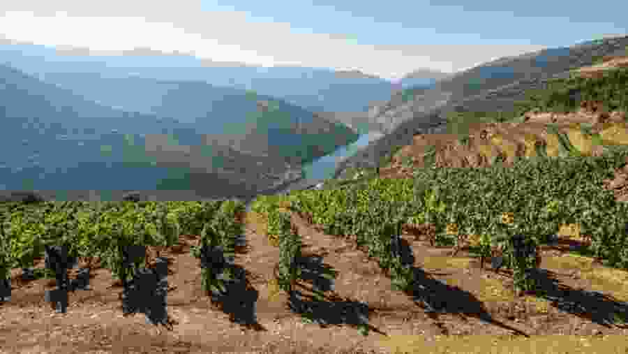 Enjoy a picnic in the Douro Valley