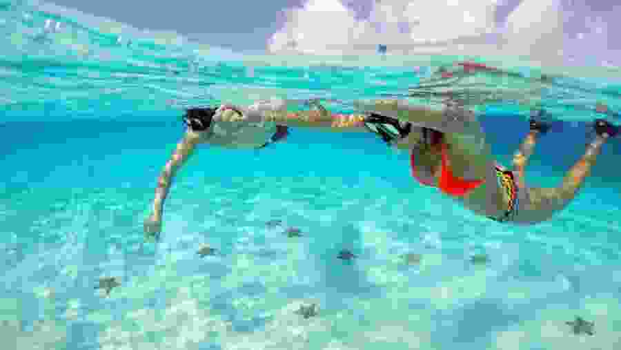 Snorkeling at Cozumel