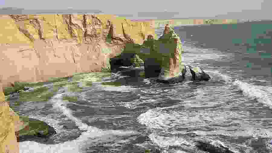paracas National reserve