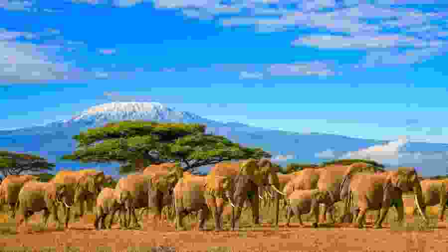Mount Kilimanjaro