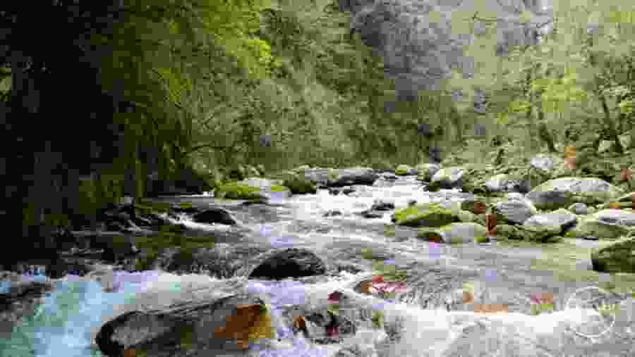 Grahan-Kullu, Himachal Pradesh