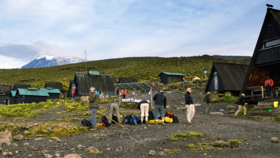 Mount Kilimanjaro hikers