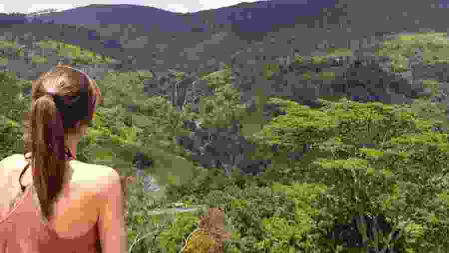 Pidurangala Rock View