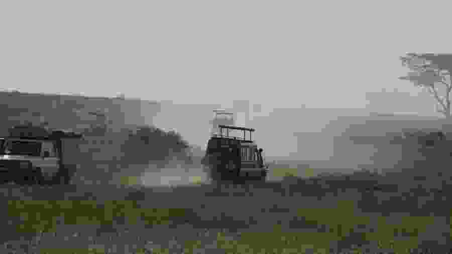 Embark on a jeep safari
