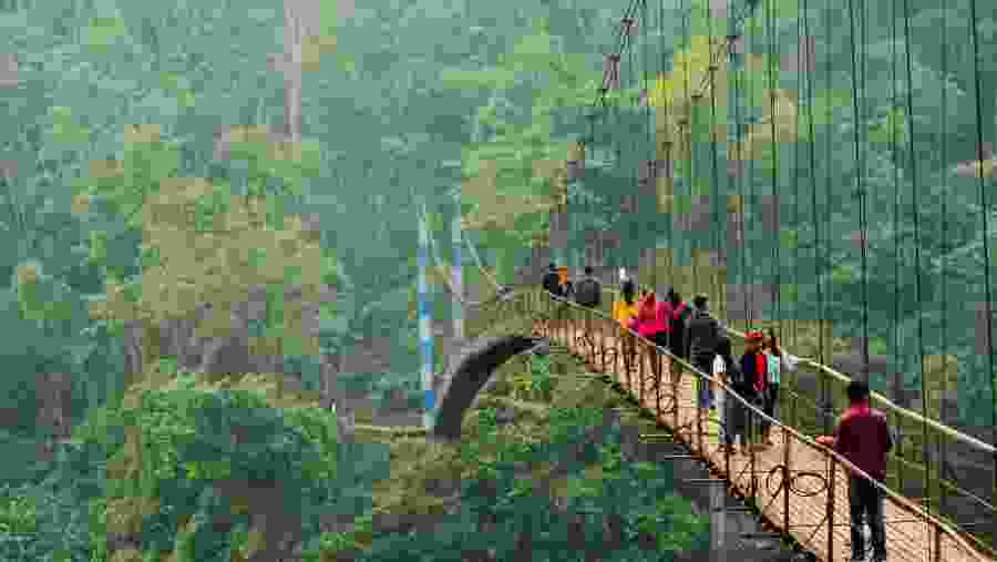 Suspension Bridge in Meghalaya