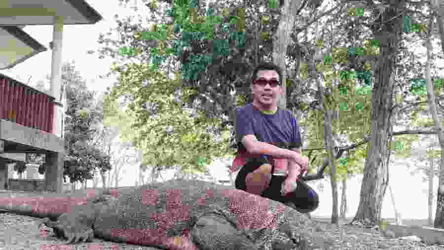 Spot the gigantic Komodo Dragon