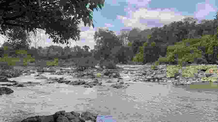 Cat Tien National Park