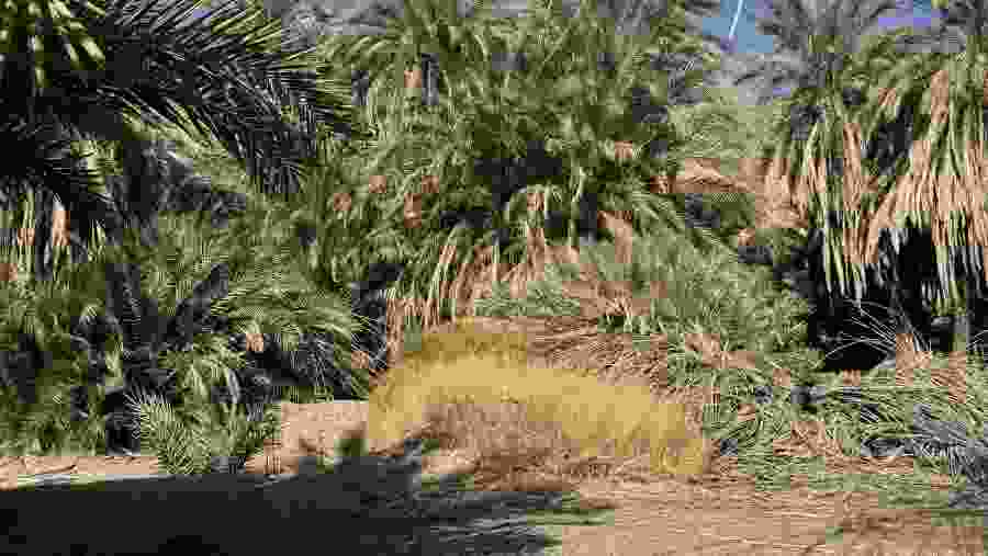 Split Rock near Madain