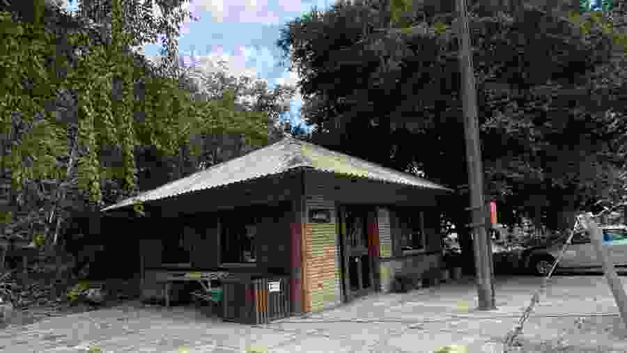 Musa (Museu da Amazônia)