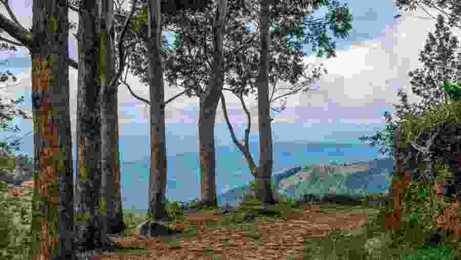 The Devil's Staircase View