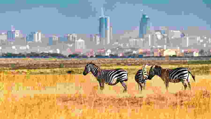 Nairobi National Park