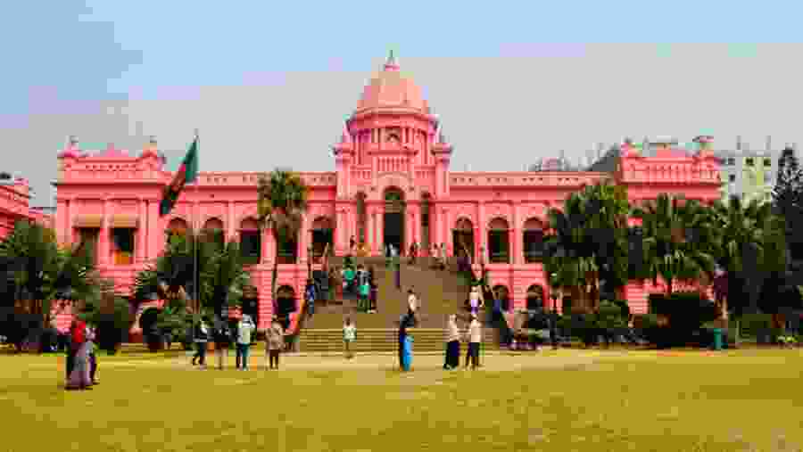 Pink Palace
