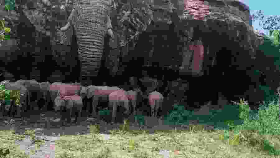 Reteti Elephant Sanctaury