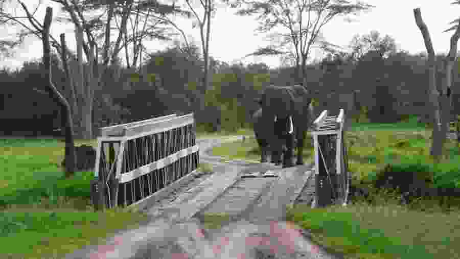 Nairobi National Park