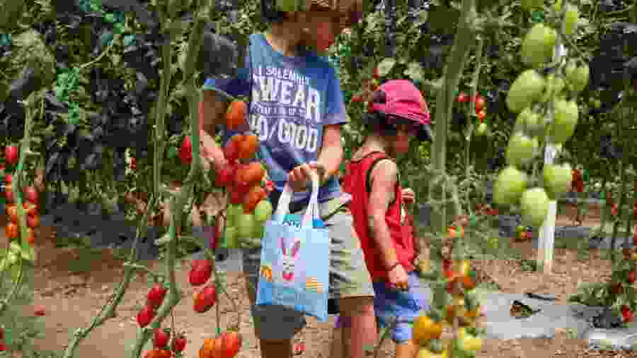 Activities for children