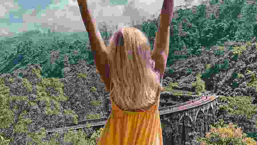 Lush green forest of Sri Lanks