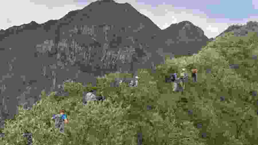 Hike up Mt. Longonot