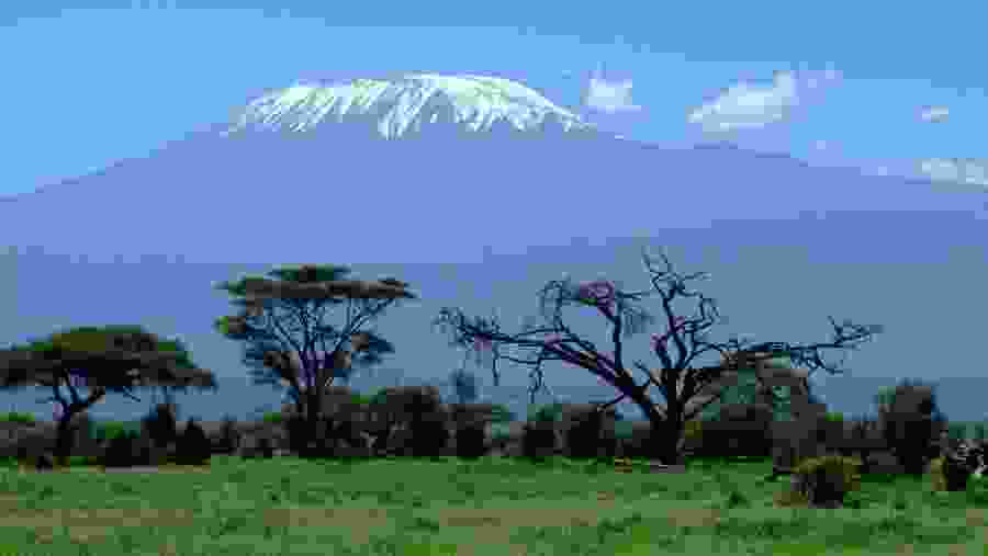 View of Mt. Kilimanjaro